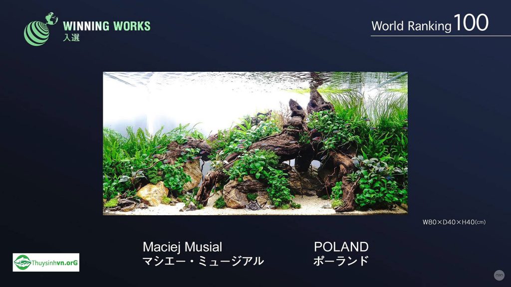 a100 - Top 100 IAPLC 2017 - Aquascape & Planted Tank Guide