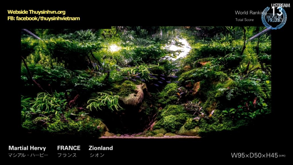 rank13 - Top 21 IAPLC 2016 - Aquascape & Planted Tank Guide