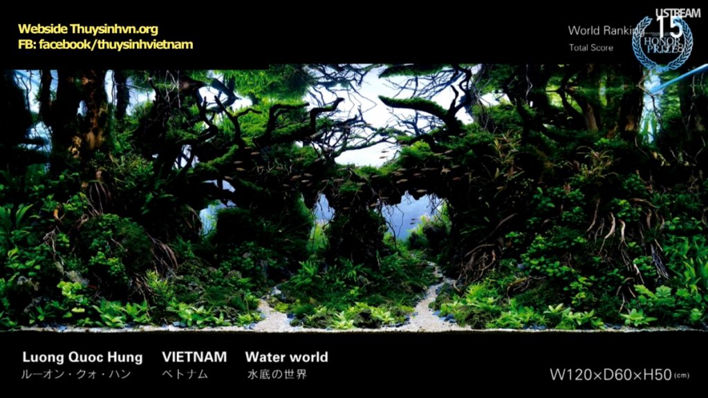 rank15 - Top 21 IAPLC 2016 - Aquascape & Planted Tank Guide