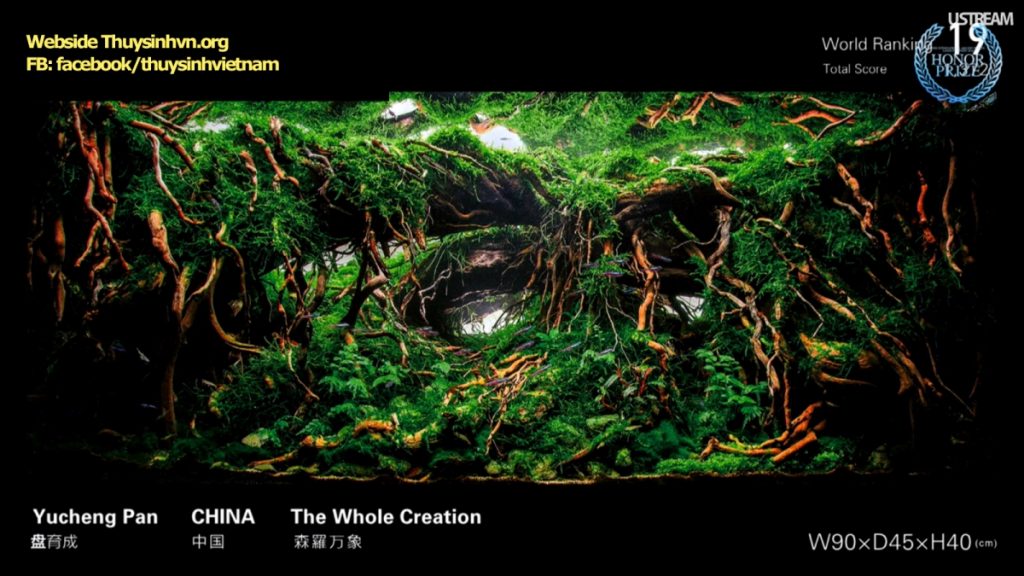 rank19 - Top 21 IAPLC 2016 - Aquascape & Planted Tank Guide