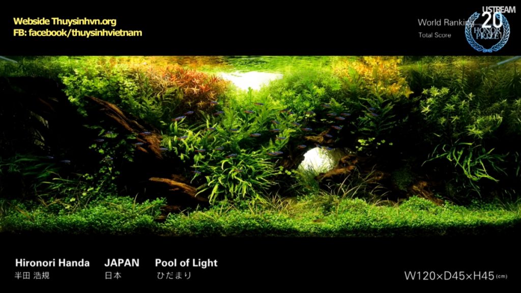 rank20 - Top 21 IAPLC 2016 - Aquascape & Planted Tank Guide