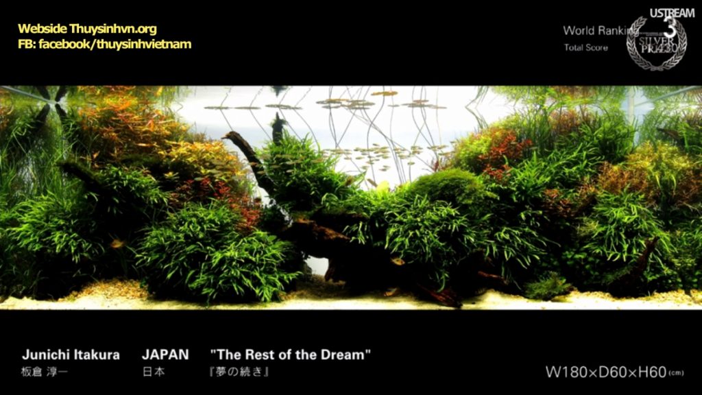 rank3 - Top 21 IAPLC 2016 - Aquascape & Planted Tank Guide
