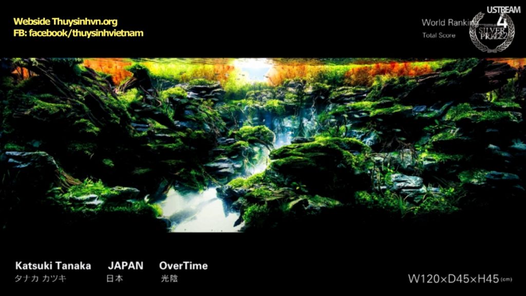 rank4 - Top 21 IAPLC 2016 - Aquascape & Planted Tank Guide