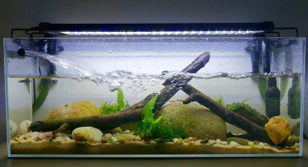 maxresdefault - Lợi ích của dòng chảy trong hồ thủy sinh - Aquascape & Planted Tank Guide