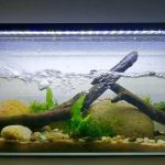 maxresdefault - Lợi ích của dòng chảy trong hồ thủy sinh - Aquascape & Planted Tank Guide