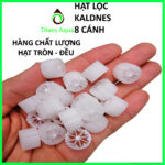 1KG HẠT NHỰA KALDNES 8 CÁNH - 1KG Hạt Kaldnes 8 Cánh - Aquascape & Planted Tank Guide