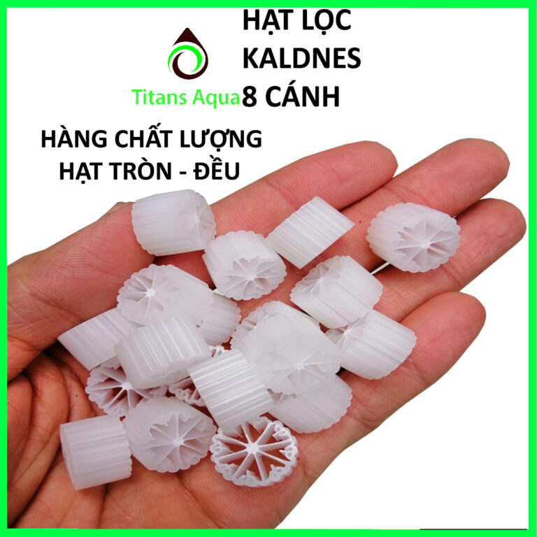 1KG HẠT NHỰA KALDNES 8 CÁNH - 1KG Hạt Kaldnes 8 Cánh - Aquascape & Planted Tank Guide
