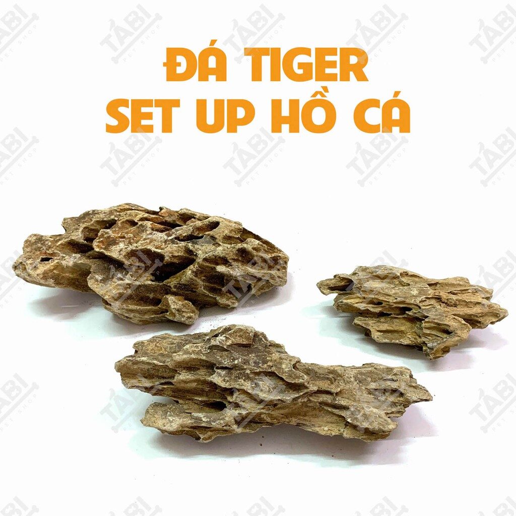 1KG Tiger Stone Setup for Aquascaping - Yellow Tiger Stone for Aquarium Decoration - 1KG Tiger Stone for Aquascaping Aquarium Setup - Aquascape & Planted Tank Guide