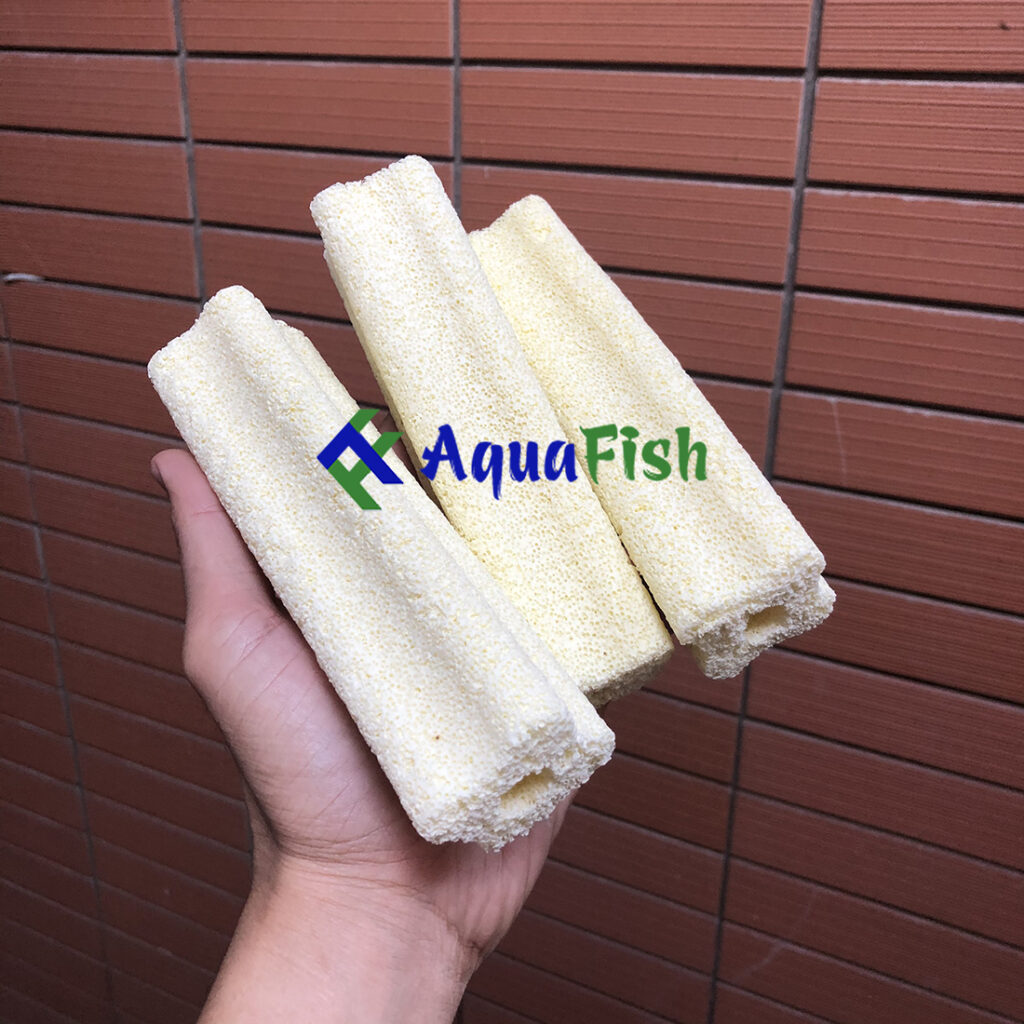 Combo 10 Thanh Hoa Mai Pots - Combo of 10 Hoa Mai filter ceramic rods - Aquascape & Planted Tank Guide
