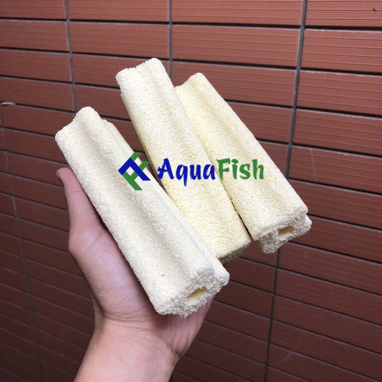 Combo 10 Thanh Hoa Mai Pots - Combo of 10 Hoa Mai filter ceramic rods - Aquascape & Planted Tank Guide