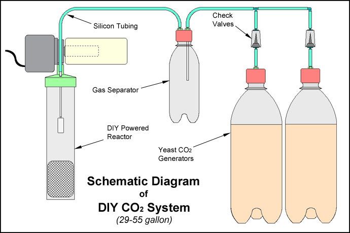 e5f1a407175f7169a986cfc1b2376435 - Cách chế tạo bình khí CO2 cho hồ thủy sinh tại nhà - Aquascape & Planted Tank Guide