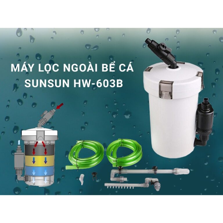 Lọc Thùng Bể Cá SunSun HW-603B - Aquascape & Planted Tank Guide
