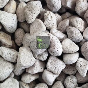 Đá Lông Vũ - Nham Thạch Trắng 1kg - Đá nham thạch - Aquascape & Planted Tank Guide