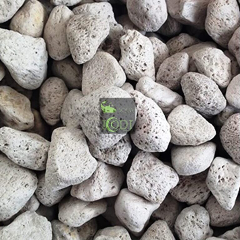 Đá Lông Vũ - Nham Thạch Trắng 1kg - Đá nham thạch - Aquascape & Planted Tank Guide
