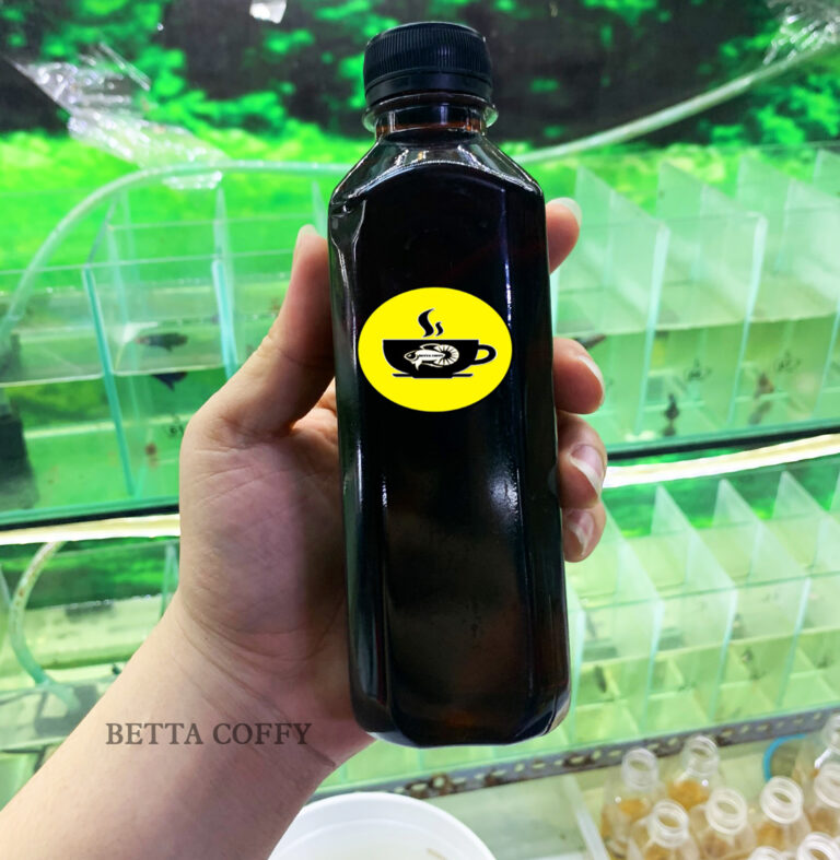 Pure banyan leaf extract for healthy aquarium fish - Aqua Plants Hub