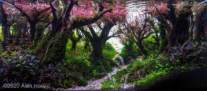 1810 - Cách chọn bể cá và loại cá phù hợp nhất - Aquascape & Planted Tank Guide