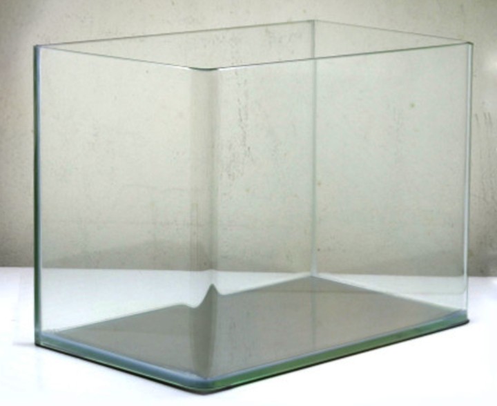 622e1d925ec0ac9ef5d1 - Nên chọn bể kính đúc hay bể kính dán để làm bể thủy sinh? - Aquascape & Planted Tank Guide