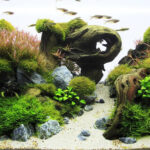 U82aBRz - Kiến thức dinh dưỡng trong hồ thủy sinh - Aquascape & Planted Tank Guide