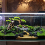 bon-sai-thuy-canh - Cách ghép gỗ lũa thành Bonsai nhân tạo cho hồ thủy sinh - Aquascape & Planted Tank Guide