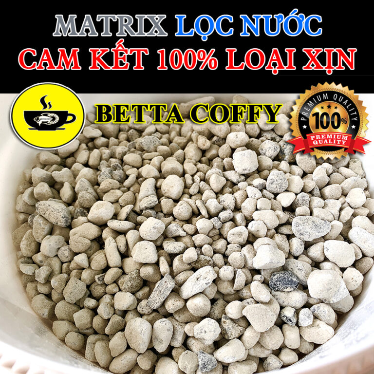 QS 100 200 100A 200A Biological Filter - Aquatic Plant Tank Filter - BETTA COFFY - QS 100A-200A Biological Filter - Aquascape & Planted Tank Guide