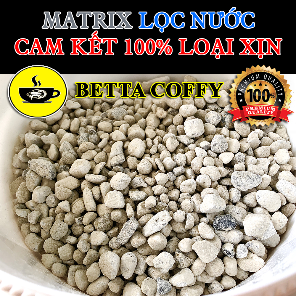 QS 100 200 100A 200A Biological Filter - Aquatic Plant Tank Filter - BETTA COFFY - QS 100A-200A Biological Filter - Aquascape & Planted Tank Guide