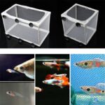 Lưới nhỏ dùng nuôi cá con gắn bể cá tiện dụng - Lưới nhỏ dùng nuôi cá con trong bể cá - Aquascape & Planted Tank Guide