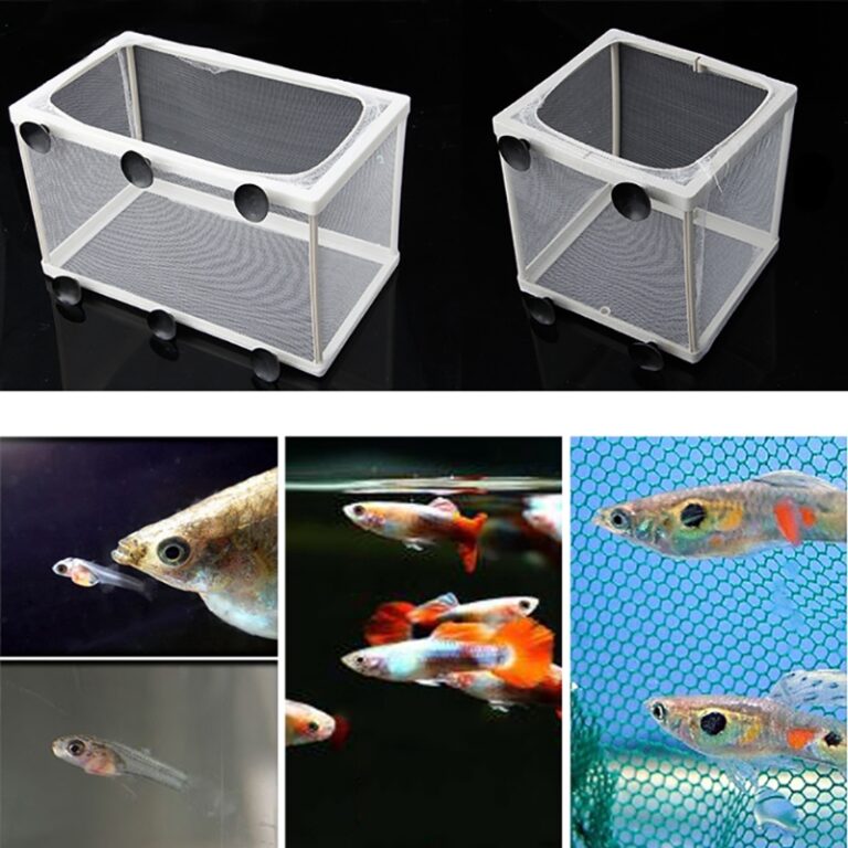 Small net for raising fry, convenient for aquarium use. - Small net used for raising fry in the aquarium - Aquascape & Planted Tank Guide