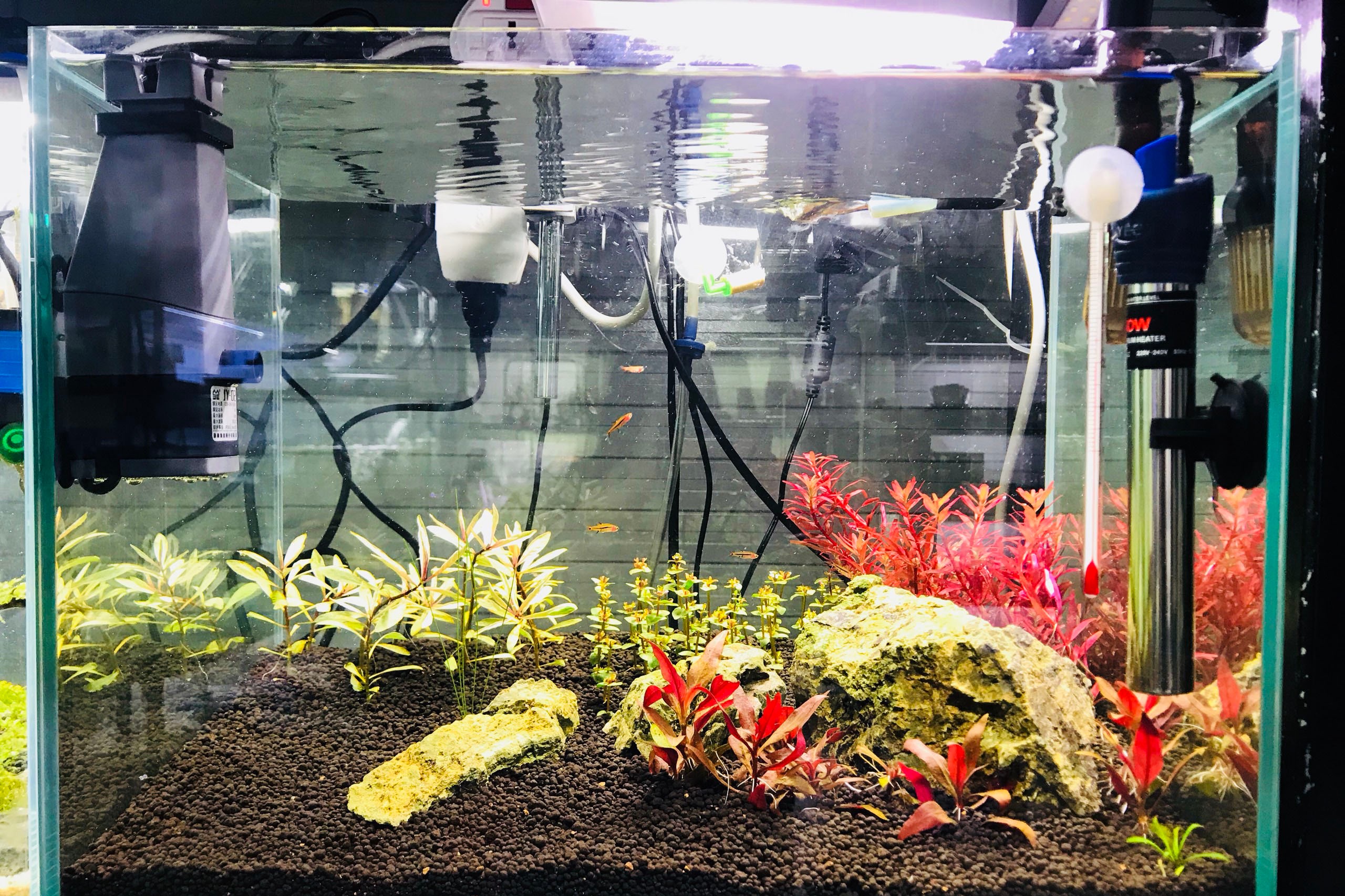 may-suoi-be-ca-2 - Tìm hiểu về thiết bị sưởi cho hồ cá - Aquascape & Planted Tank Guide