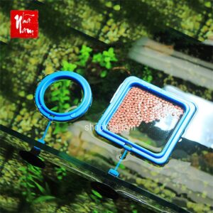 Vòng giữ thức ăn nổi cho cá phụ kiện bể cá cảnh - Đĩa Thủy sinh Tròn Đựng Thức Ăn Cho Cá - Aquascape & Planted Tank Guide