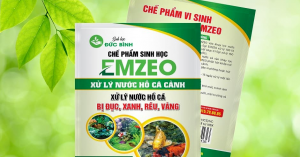 thuốc làm trong nước hồ cá