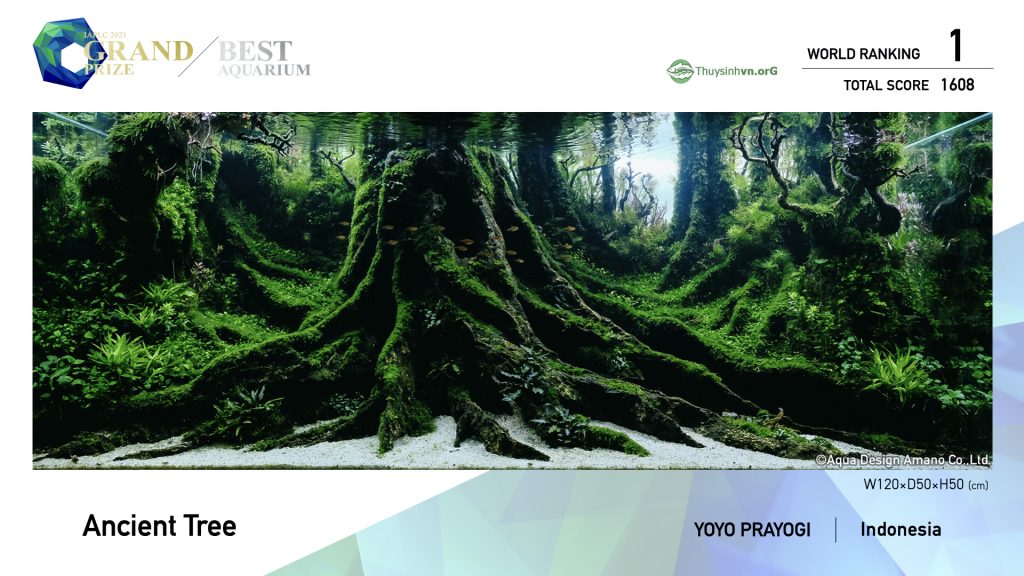 1 - TOP 100 IAPLC 2021 - Aquascape & Planted Tank Guide