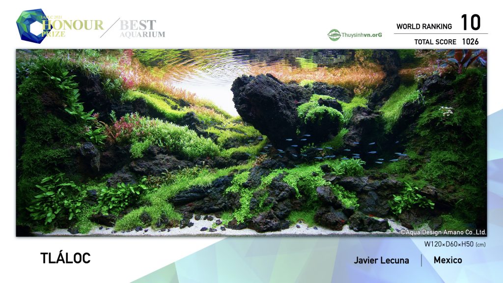 10 - TOP 100 IAPLC 2021 - Aquascape & Planted Tank Guide