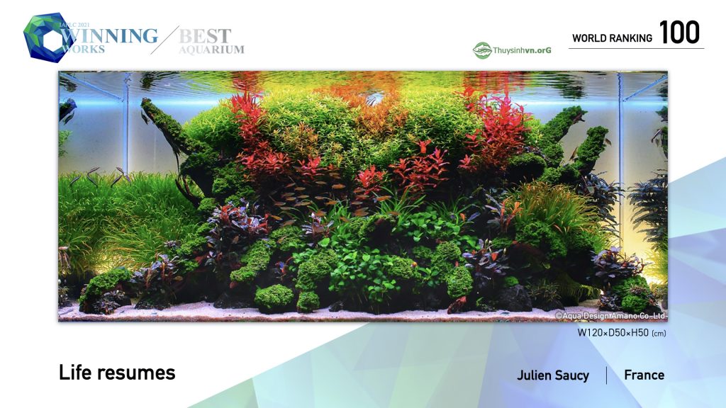 100 - TOP 100 IAPLC 2021 - Aquascape & Planted Tank Guide