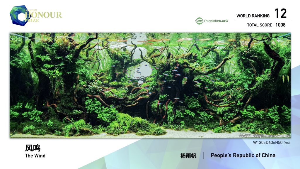12 - TOP 100 IAPLC 2021 - Aquascape & Planted Tank Guide