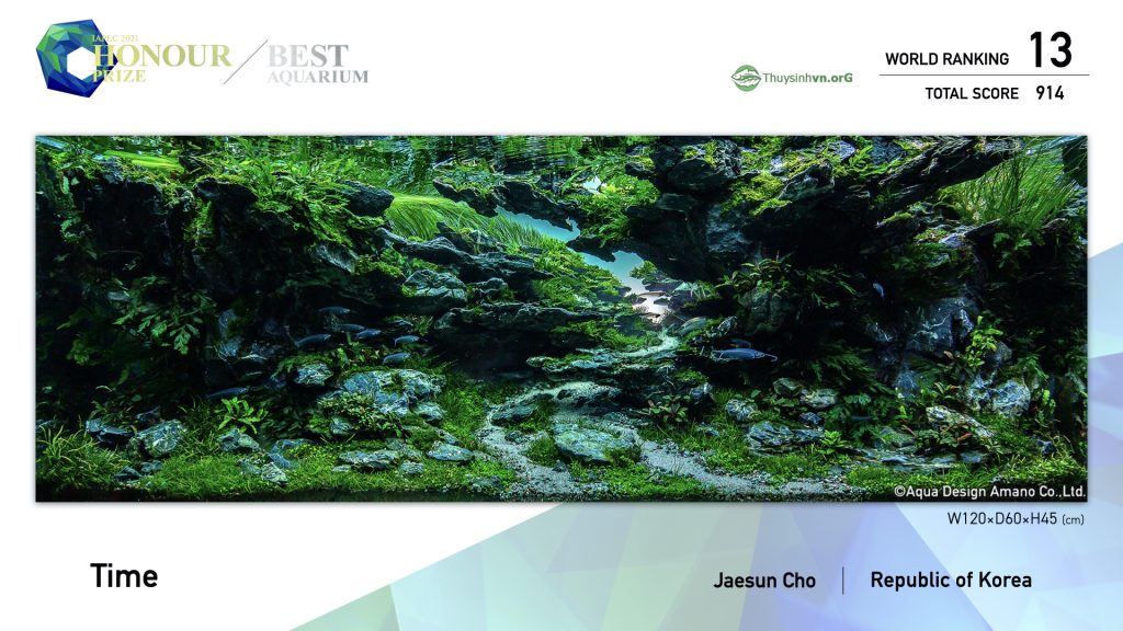 13 - TOP 100 IAPLC 2021 - Aquascape & Planted Tank Guide