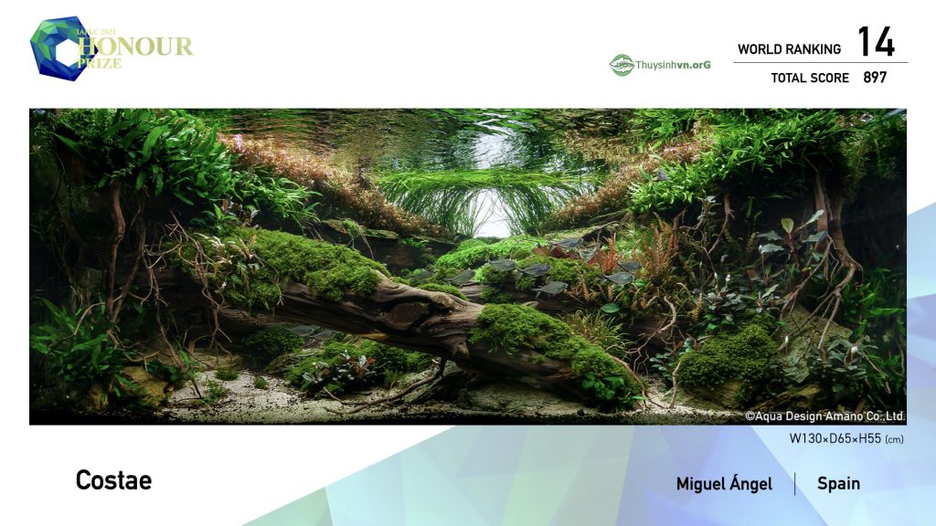 14 - TOP 100 IAPLC 2021 - Aquascape & Planted Tank Guide