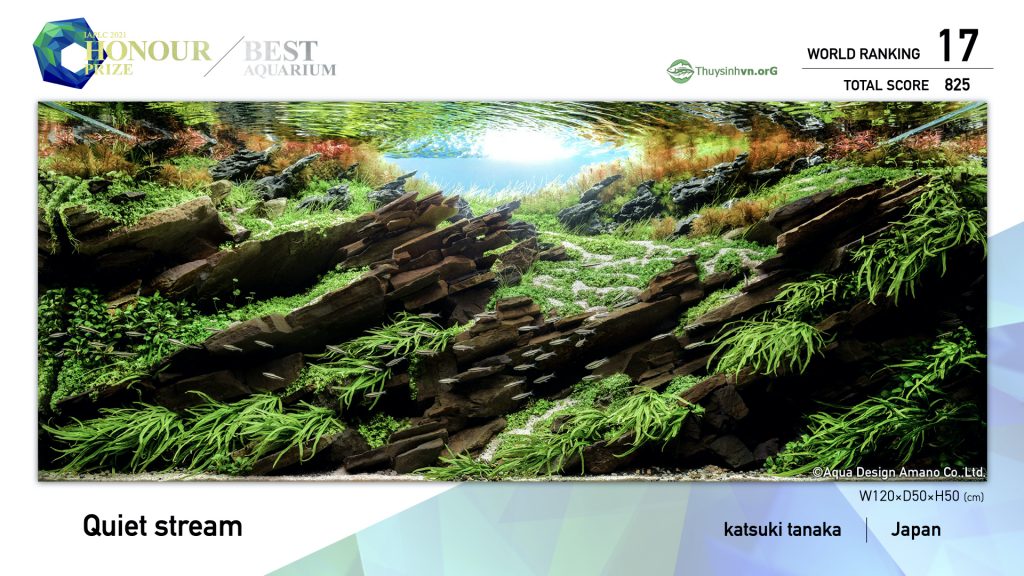 17 - TOP 100 IAPLC 2021 - Aquascape & Planted Tank Guide
