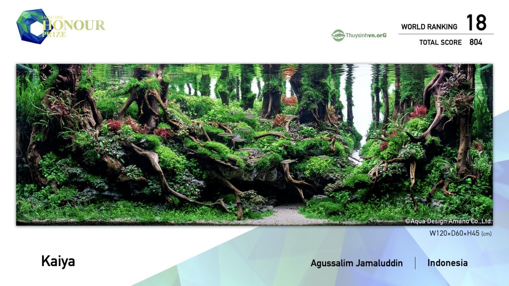 18 - TOP 100 IAPLC 2021 - Aquascape & Planted Tank Guide
