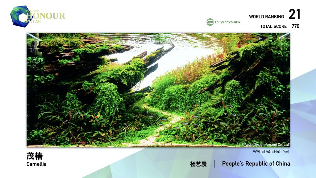 21 - TOP 100 IAPLC 2021 - Aquascape & Planted Tank Guide