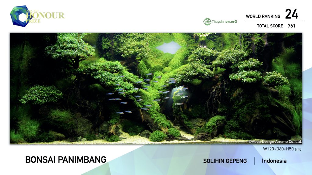 24 - TOP 100 IAPLC 2021 - Aquascape & Planted Tank Guide