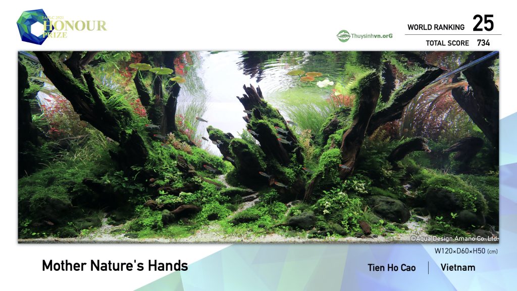 25 - TOP 100 IAPLC 2021 - Aquascape & Planted Tank Guide