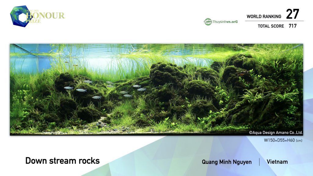 27 - TOP 100 IAPLC 2021 - Aquascape & Planted Tank Guide