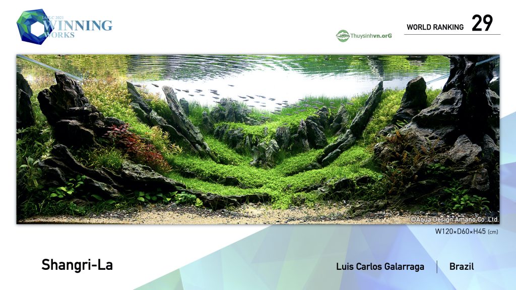 29 - TOP 100 IAPLC 2021 - Aquascape & Planted Tank Guide