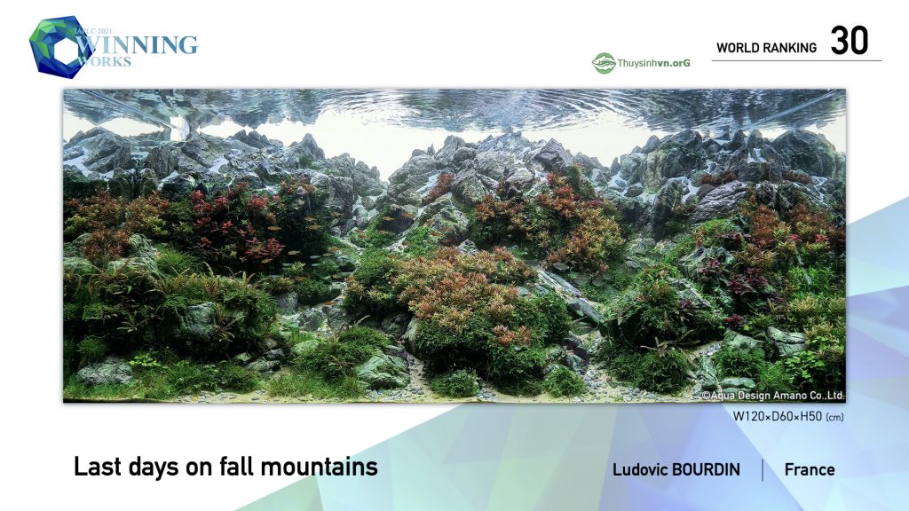 30 - TOP 100 IAPLC 2021 - Aquascape & Planted Tank Guide
