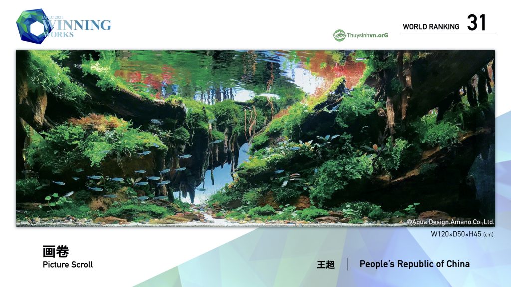 31 - TOP 100 IAPLC 2021 - Aquascape & Planted Tank Guide
