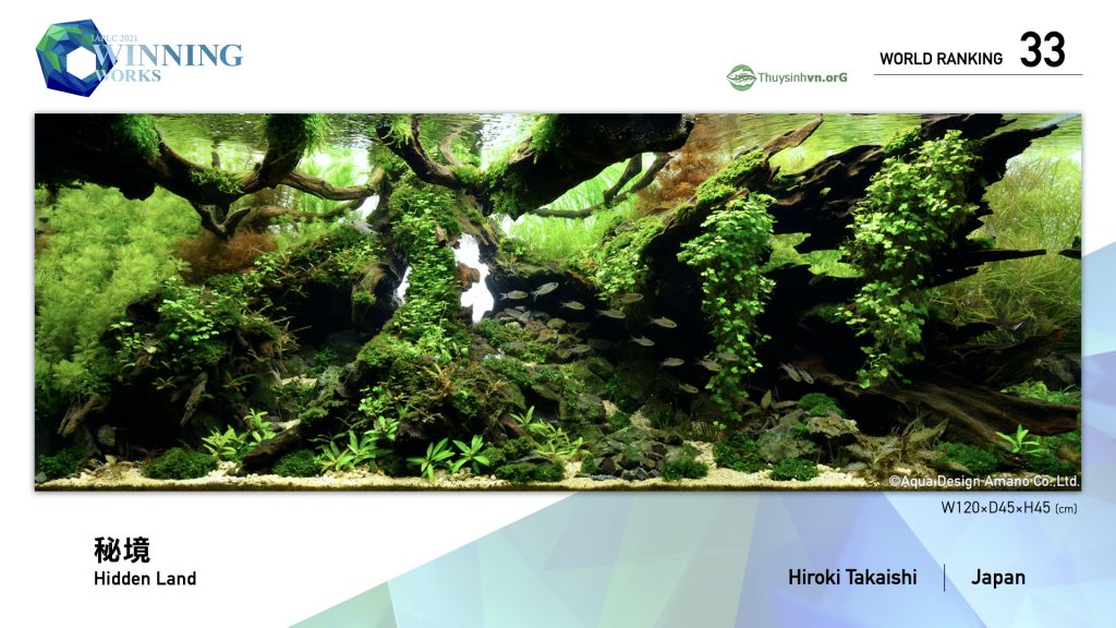 33 - TOP 100 IAPLC 2021 - Aquascape & Planted Tank Guide