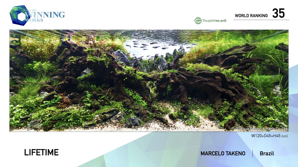 35 - TOP 100 IAPLC 2021 - Aquascape & Planted Tank Guide