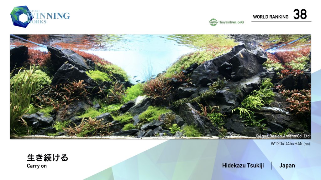 38 - TOP 100 IAPLC 2021 - Aquascape & Planted Tank Guide