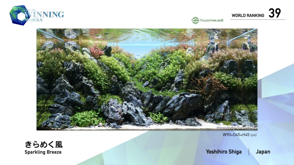 39 - TOP 100 IAPLC 2021 - Aquascape & Planted Tank Guide