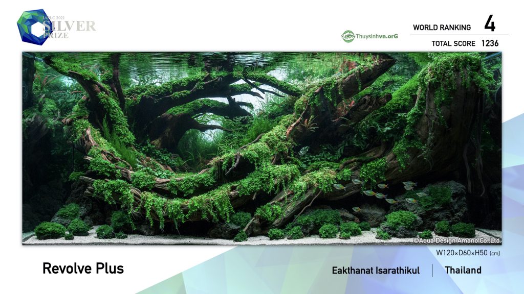 4 - TOP 100 IAPLC 2021 - Aquascape & Planted Tank Guide